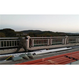 山东飞龙金属护栏公司(多图)-德宏桥梁景观护栏