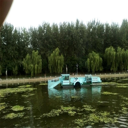 割草船-青州先科机械-全自动割草船