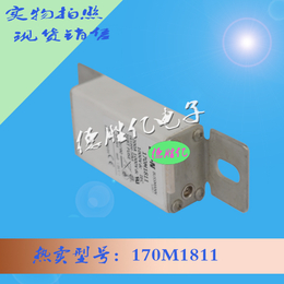 巴斯曼熔断器 170M1811 量多从优 欢迎选购