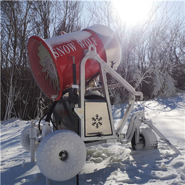 滑雪场可移动造雪机预算 雪地娱乐设备小型制雪机