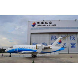 郑州空运到青岛拉萨海口三亚西藏-航空货运快递缩略图