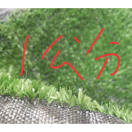 建筑草坪网-茂名草坪网-巨东化纤绳网低价高质(查看)