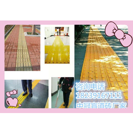 天津防腐盲道砖耐酸瓷板供应厂家12						