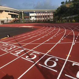 操场塑胶跑道多少钱-徐闻操场塑胶跑道-立美建材优选厂家