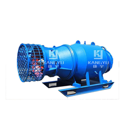 井用潜水泵-安徽康宇性能稳定-合肥潜水泵