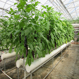 厂家批发无土栽培设备 草莓立体种植架 蔬菜养殖基质槽水培槽