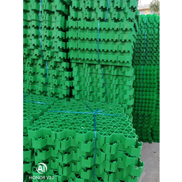 植草格生产厂家(图)-塑料植草格停车场-招远停车场植草格