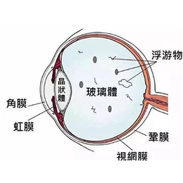 防控视力健康加盟-护瞳科技(在线咨询)-宁波视力防控
