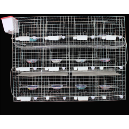 三层12位鸽笼 养殖鸽笼用品用具 鸽子镀锌笼具