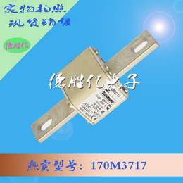 巴斯曼熔断器 170M3717 全新直售  量多可询