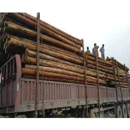 南京园林绿化木桩-园林绿化木桩多少钱-宏文木业(推荐商家)