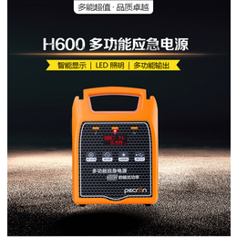 H600*烟气检测仪器备用电源pecron百克龙