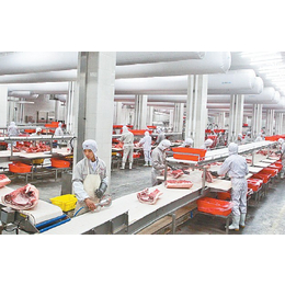 荷兰种植工采摘员普工包装工缝纫工平车工裁剪工等月薪3万起