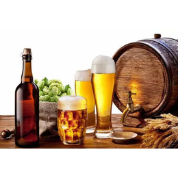 精酿啤酒设备(图)-精酿啤酒如何保鲜技术-精酿啤酒