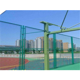篮球场围网安装-河北宁东(在线咨询)-篮球场围网