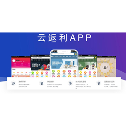 淘宝客APP源码开源app淘宝客软件APP定制开发缩略图