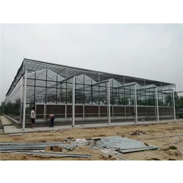 玻璃温室-贵贵温室-玻璃温室建造