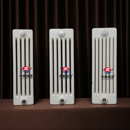 钢五柱散热器(图)-GZ515钢五柱暖气片-钢五柱暖气片