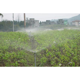 农业灌溉设计-农业灌溉-亿安鑫节水灌溉(查看)