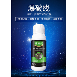 云大高科线 防治根结线虫的 防治线虫的微生物