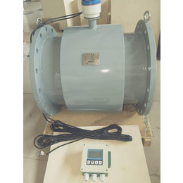  DN300泵房给水分体式电磁流量计