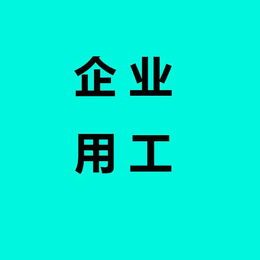 企业用工公司-中力资源(在线咨询)-镇江企业用工