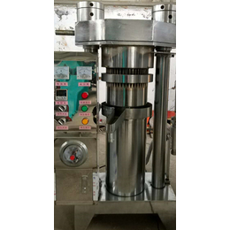 立式液压香油机厂家-十堰立式液压香油机-富恒重工机械