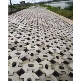 天津水利工程 连锁式植生块护坡砖拿样多种规格
