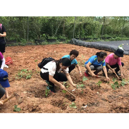 十一国庆深圳龙岗去哪玩龙岗周边有好的农家乐吗