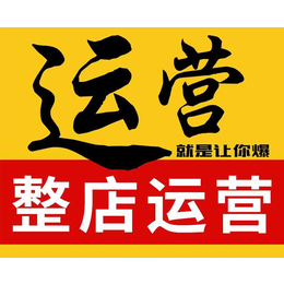 快牛电商(图)-淘宝店铺交给代运营-芜湖淘宝店铺代运营