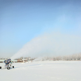 美丽到窒息广场造雪机 雾炮造雪机 零度造雪机