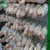 青岛蘑菇架子施工工艺--做工完整缩略图3