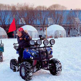 雪上可玩项目雪地摩托车 雪地摩托车价格 雪地摩托车规格