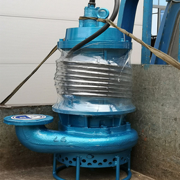 潜水式污泥泵 规格型号参数 大型电动污泥泵 高合金*沉渣泵