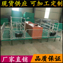养猪设备誉发畜牧厂家生产双体产床母猪产床定位栏产保一体