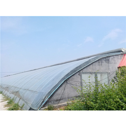 新疆销售日光温室 连栋日光温室大棚建造 承接温室工程