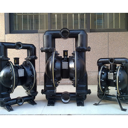 山西气动隔膜泵维修-金龙煤机(在线咨询)-山西气动隔膜泵