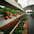 栽培槽 草莓立体栽培槽 叶菜类水培槽 英耐尔缩略图1