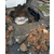 埋地管道暗漏检测 消防管漏水检测 城市暗管测漏查漏缩略图2