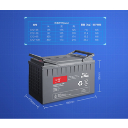 山特100AH12V铅酸阀控免维护蓄电池用于UPS后备电源