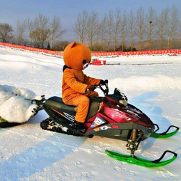 国产雪地摩托车电动冰上摩托车详细参数批发价格