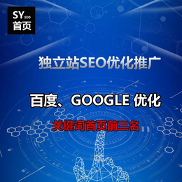 扫地机关键词如何SEO优化到GOOGLE首页