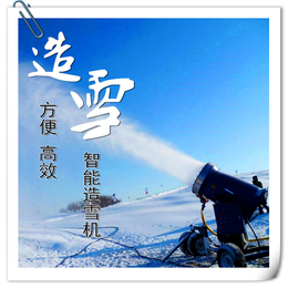 国产造雪机配套设备 雪地自行车 雪砖 戏雪游乐设备