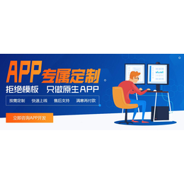 山东临沂app开发软件开发公司小程序开发中扬科技