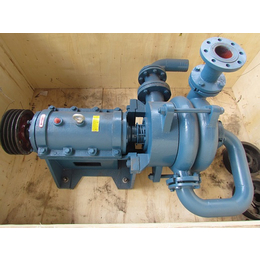 强能工业泵-供应浮选机喂料泵-遵义浮选机喂料泵