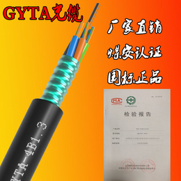 GYTA层绞式铠装光缆室外四芯单模架空光缆