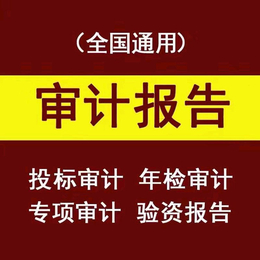 年度审计报告代做年检验资报告资产评估报告高新财务报表审计