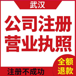武汉武昌注册公司 记账报税 申请及税控缩略图