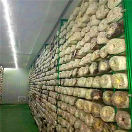 蘑菇架生产大棚*11.11特卖狂欢