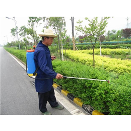 惠州绿化养护服务树木整型 怡轩园林绿化养护